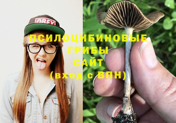 не бодяженный Алексин