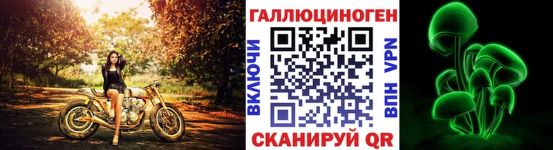 Галлюциногенные грибы Psilocybine cubensis  Алексеевка 