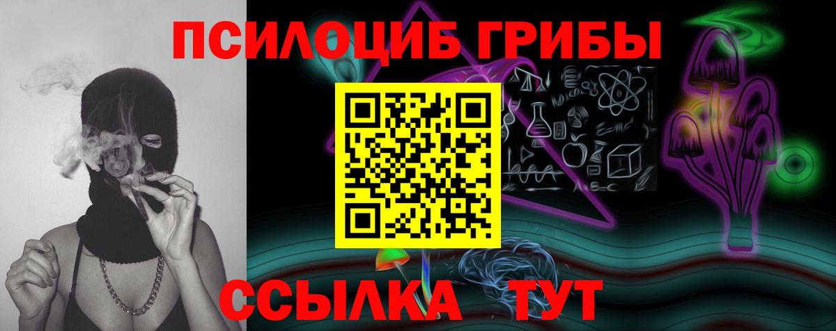 Галлюциногенные грибы Psilocybe Алексеевка