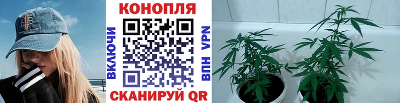 что такое   Алексеевка  мега маркетплейс  Конопля план 